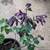 POTTED COLUMBINE BABIES - VOLUNTEERS - COLORS UNKNOWN 1 thumbnail
