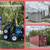 1 Trip New Conex Shipping Containers 20' & 40' 4 thumbnail