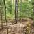 Sugar Camp Chain of Lakes Access. Wooded lot 3 thumbnail
