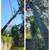 🌳TREE PRUNING🌳TREE REMOVAL🌳FREE ESTIMATES 4 thumbnail