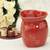 Retired Scentsy Warmers-New in Box 7 thumbnail