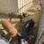IPP / Kune Gilts 1 thumbnail
