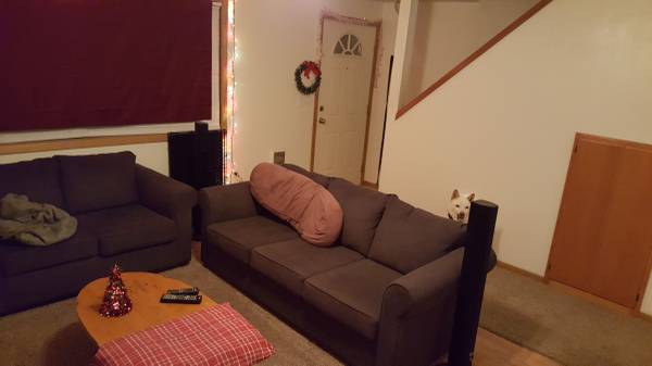 $550 / 3br - One Room for Rent (Dayton)63914855457795124