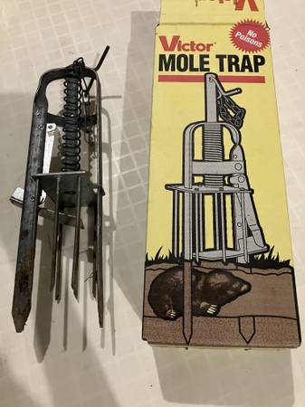 Victor MOLE TRAP in Original Box 1