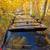 2012 SUBARU TRIBECA - TOURING 12 thumbnail