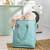 Brightroom Foldable Rolling Storage Bag Teal 24 x 20 x 16 Portable NWT 3 thumbnail