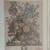 Botanical Print by Robert Furber - June 1 thumbnail