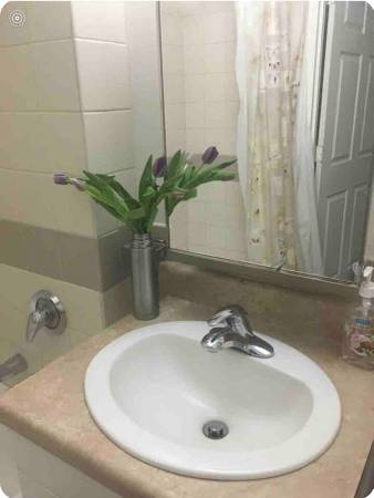 $625 large room Manhattan student seeks student or similar (Harlem / Morningside)63886542915459122
