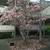 Tamal Vista Apartments - 1 bdr/ 1bath 19 thumbnail