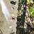 Fimco 40 gallon three-point sprayer 3 thumbnail