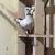Pigeons 14 thumbnail