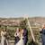 Lavender Farm Wedding venue in the beautiful Capay Valley 3 thumbnail