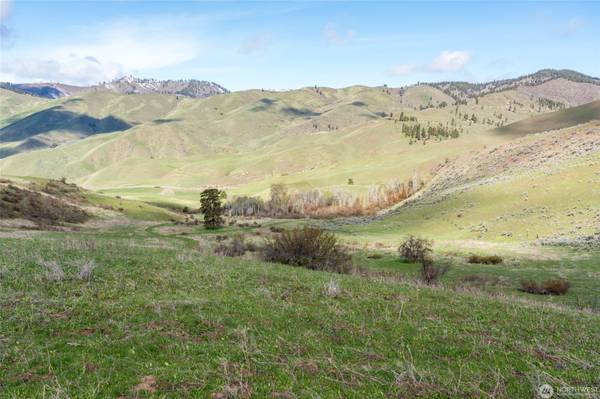 $5,500,000 Más de 900 acres: Star Ranch (Cashmere)63743462613121124