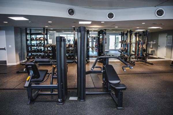 $3,150 / 2br - 1100ft2 - 🍄 There is so "Mush-Room" to Spread Out! 2-bedroom Available 🍄 (Mercer Island)63688549356545121
