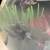 1.5 gallon fish tank with all accessories 5 thumbnail