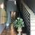 The Belton-Studio Apartment 18 thumbnail