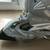 Brand new Roller Blades from Modells 4 thumbnail