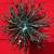 GLITTERED AND SEQUINED BURST ORNAMENT, TURQUOISE (Set of 4) 6 thumbnail