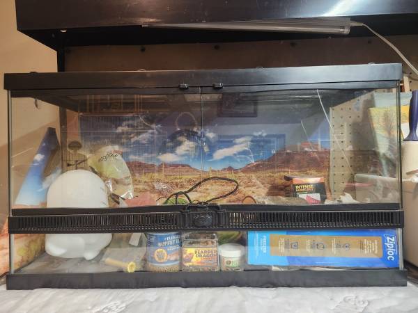 Reptile cage and stuff (Higginsville)63348076975875122