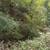 Rare Santa Cruz Mountains Lot – 0.88 Acres + 0.13 Bonus Parcel 11 thumbnail