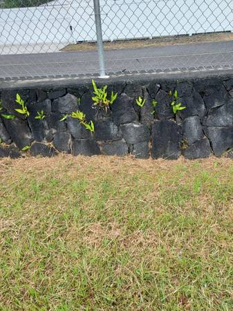 $120,000 / 12000ft2 - ONE OF THE FINEST LOTS IN AINALOA (PAHOA)63686727306113122