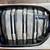 BMW SUV Front Grille 1 thumbnail