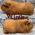 Guinea Pig Boys 8 thumbnail
