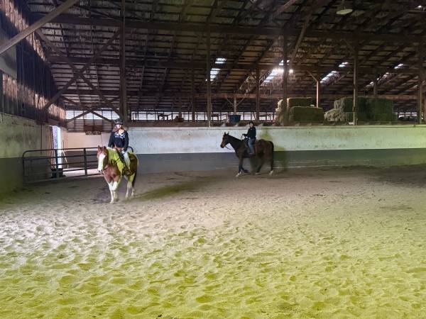 Lecciones y arriendos de equitación! (Portland)63842374120579120