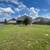 BIG HOUSE! 4BED/3.5BATH! ONLY 15K DOWN! NO CREDIT! NO BANKS NEEDED 19 thumbnail