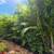Landscape-Irrigation-Sod-Landscape lighting 19 thumbnail
