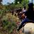 Horses Available for Lease 11 thumbnail