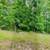 /mo. Build Your Dream Home! Ozark Acres Land for Sale! 1 thumbnail
