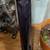 RARE & DISCONTINUED INDIGO BLUE GODIN MONTREAL PREMIERE 7 thumbnail