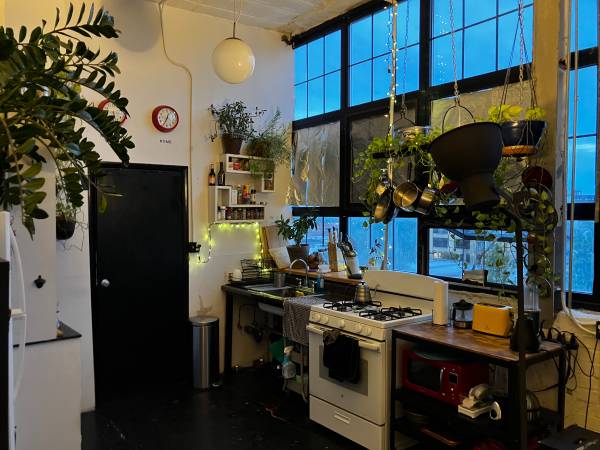 $1,450 / 3br - Dormitorio soleado en un ático (Brooklyn)63995970082434123