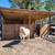 Gazebo Pargota Deck Dock Lean too Car Port 4 thumbnail