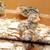 Coturnix Quail ...7 days old 2 thumbnail