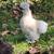 Free Silkie Roosters 2 thumbnail