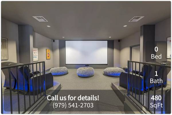 $750 / 480ft2 - Cat and Dog Heaven! Amazing Pet-Friendly Community! Studio (College Station)63806733857409120