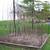 Norway & Silver Maple Trees 3 thumbnail