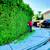 Tree & palm services, yard clean ups, artificial grass & pavers 5 thumbnail