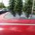2011 NISSAN JUKE SL ALL WHEEL DRIVE SUV 92K LOWWW MILEAGE! 9 thumbnail