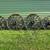 High Wooden Wagon Wheels. 1 thumbnail