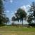 Title: Tree Removal Needed – 4 Large Trees– Canandaigua NY 2 thumbnail
