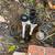 Sprinkler / Irrigation Tech 19 thumbnail