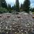 Landscape & maintenance 6 thumbnail
