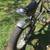Schwinn StingRay "Orange County Choppers" Edition 4 thumbnail