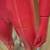 Standing full body bright pink plastic female mannequin metal base 2 thumbnail