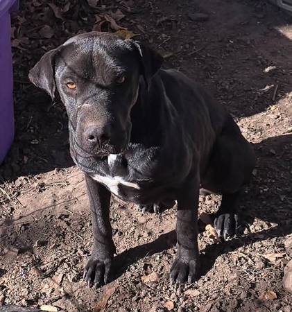 Emergency homes needed 1