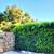CREEKSIDE PRIVATE ESTATE MONTECITO 15 thumbnail