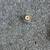 2 inch Trailer Hitch Ball 3 thumbnail
